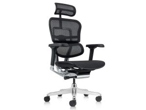 Ergohuman Elite G2 Mesh Chair with Headrest
