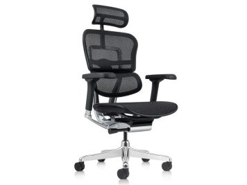 Ergohuman Elite G2 Mesh Chair with Headrest