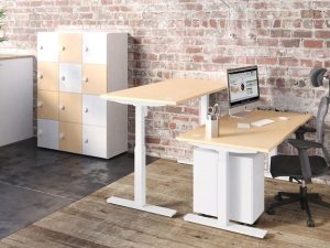 Envol Height Adjustable Desk