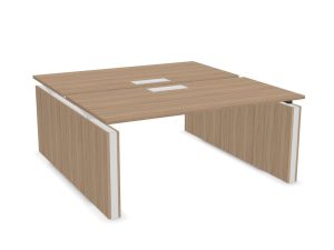 MOTION 2 Person Electric Desk