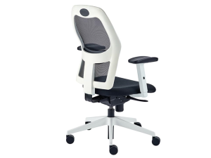 Alize Mesh Office Chair with White Frame