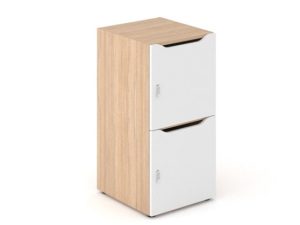 C2 Locker with 2 Mail Slot Doors