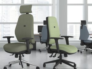 Ergonomic Office Chairs