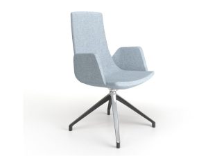 North Cape Meeting Chair