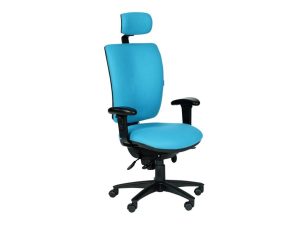 Ergonomic Task 24Hr Chair with Headrest