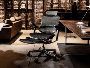 Ergohuman Office Chairs