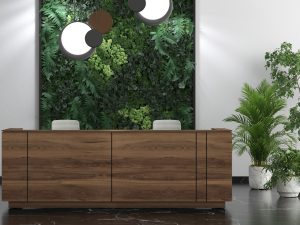 Reception Desks
