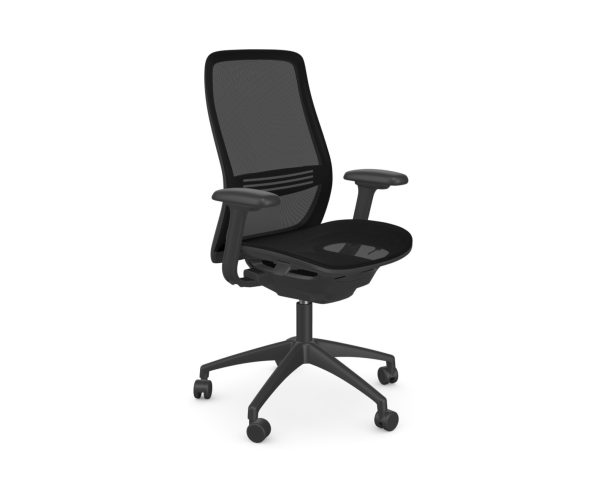 NV Full Mesh Ergonomic Office Chair