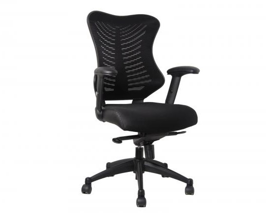 Spine Mesh Chair with Arms