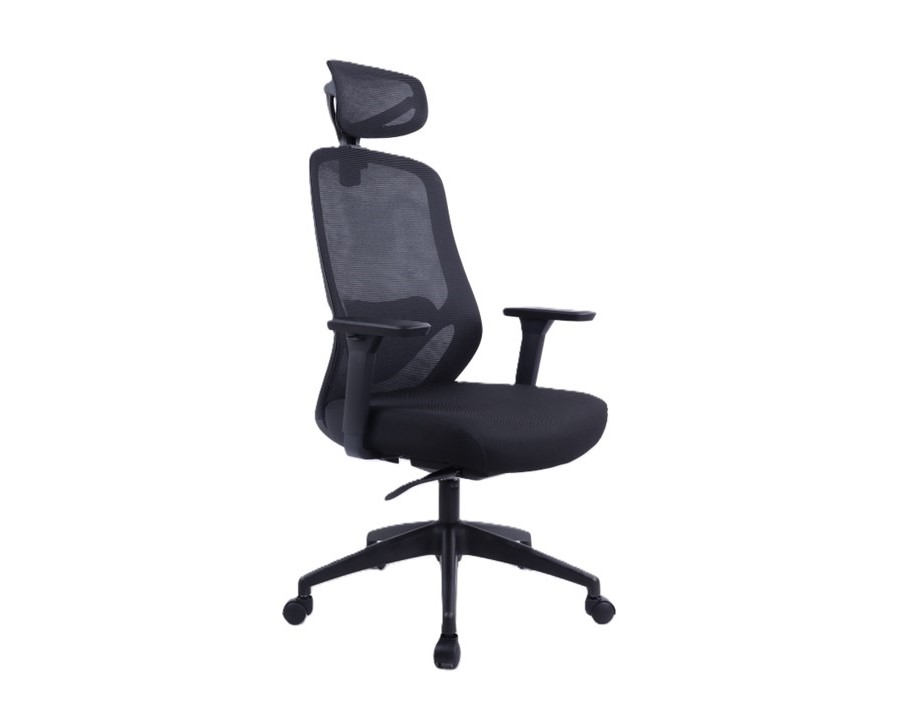 Chamber Mesh Back Ergonomic Chair with Headrest