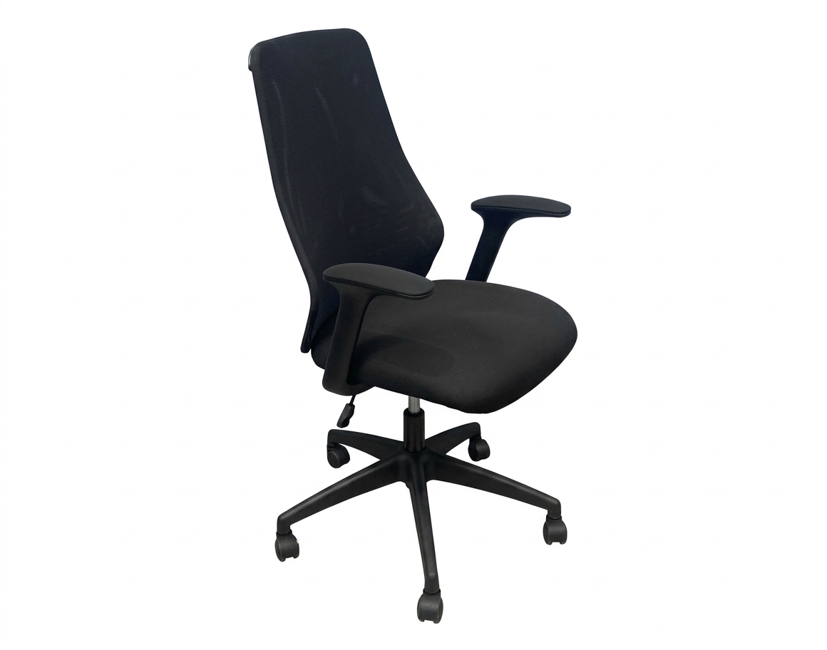 Duchy Mesh Ergonomic Office Chair